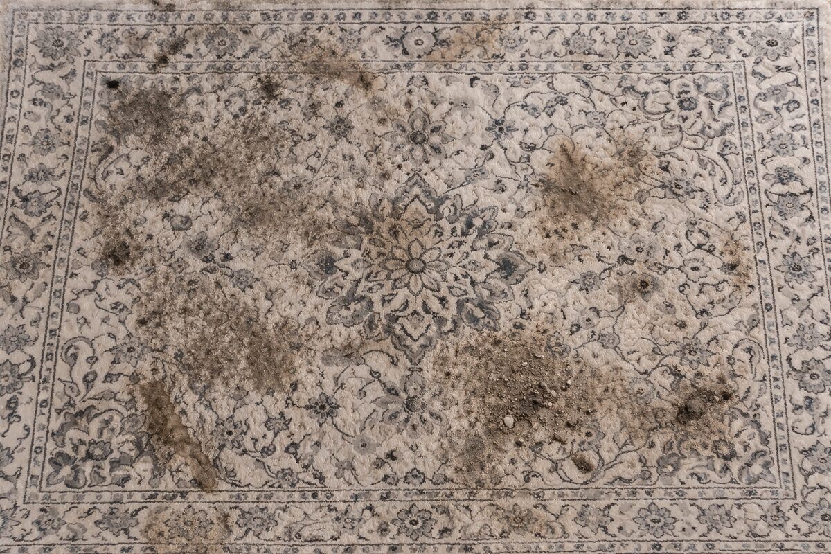 Halı yıkama öncesi lekeli halı